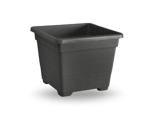 עציצים מרובעים