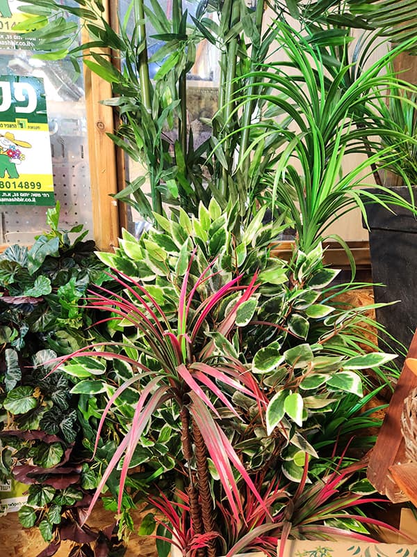 צמחים מלאכותיים במבחר דגמים וגלדים