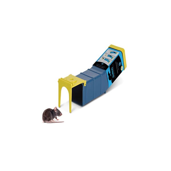 מלכודת נדנדה הומנית למכרסמים