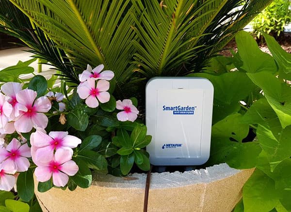 smart garden web 2 מחשב השקיה נטים לניהול ושליטה של מערך ההשקיה מהטללפון החכם