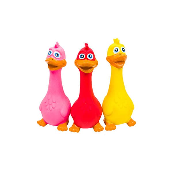 צעצועי גומי